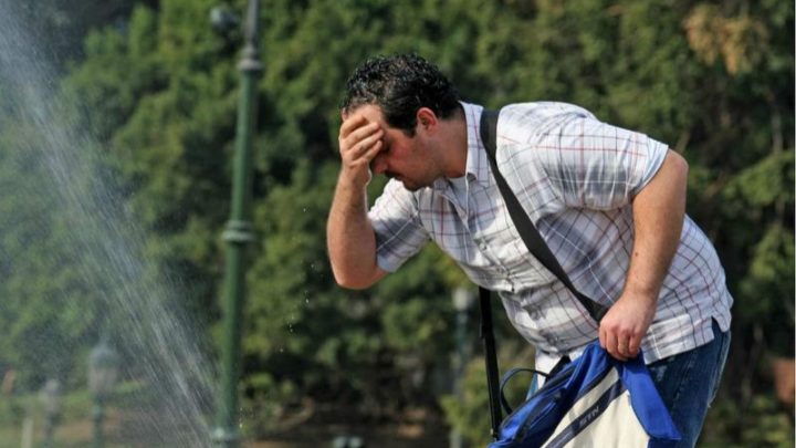 Otra jornada de mucho calor: se espera una máxima de 30 grados para el martes