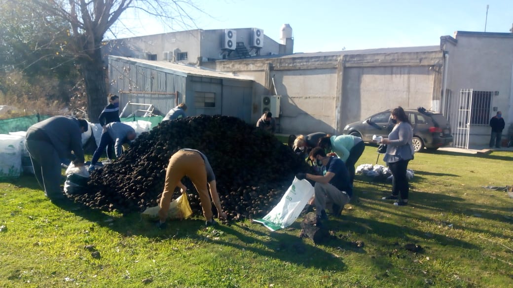 GRAL BELGRANO: Vecinos embolsan papa y hacen trueque por alimentos no perecederos.