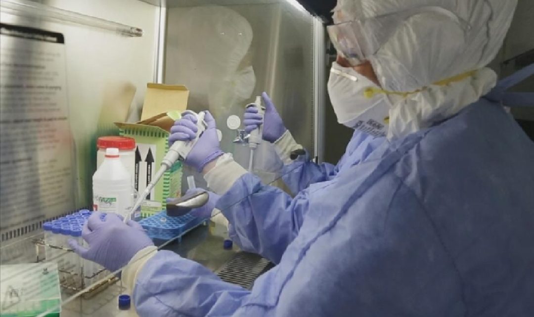 MONTE: Primer caso positivo de coronavirus MONTE: Primer caso positivo de coronavirus