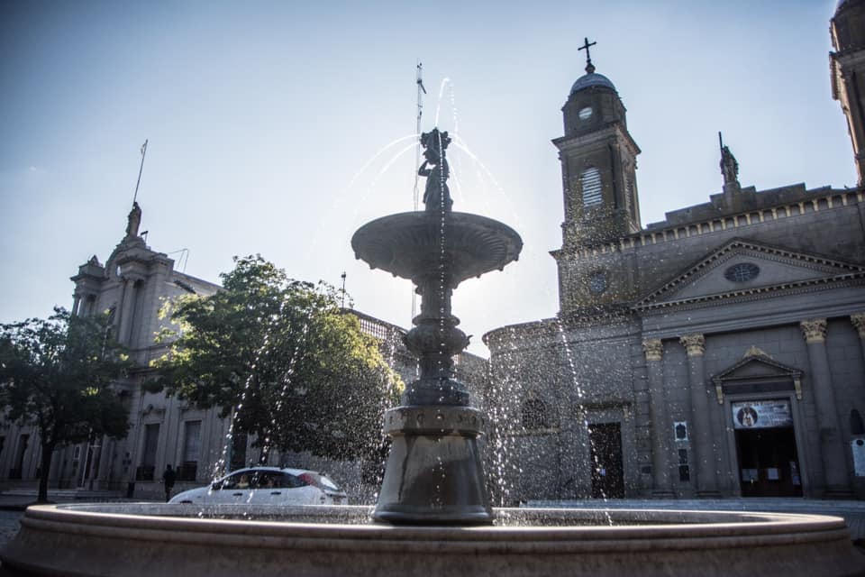Las Flores entre los municipios sin casos activos, comienza a diseñar un plan de salida Las Flores entre los municipios sin casos activos, comienza a diseñar un plan de salida