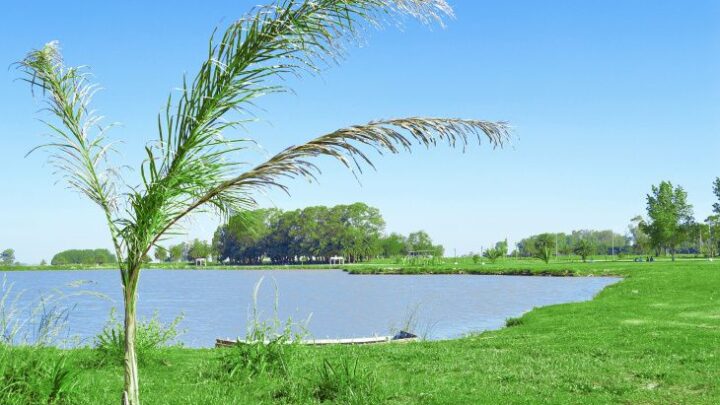 CASTELLI: El municipio busca prohibir el uso de agroquímicos alrededor de la Laguna