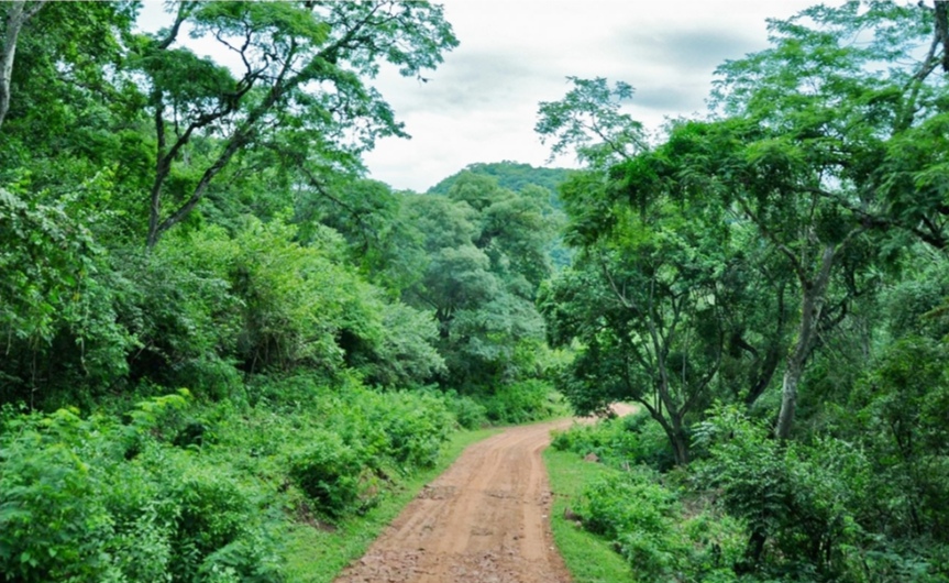 El Senado convirtió en ley el proyecto sobre Educación Ambiental Integral El Senado convirtió en ley el proyecto sobre Educación Ambiental Integral