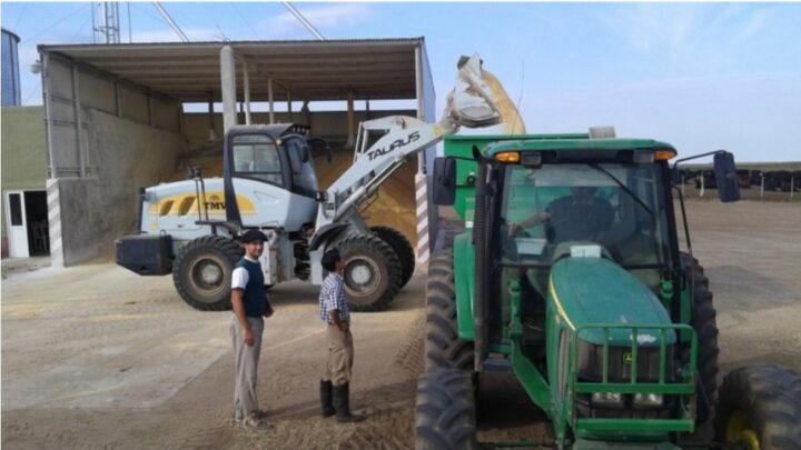 TORDILLO: Avanza la instalación del Primer Parque Industrial del distrito