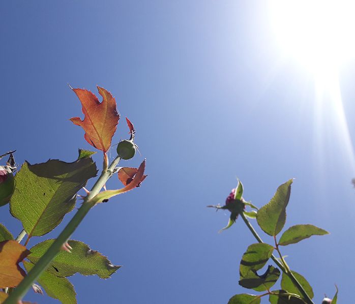 El Tiempo: pronóstico para el viernes 31 de diciembre El Tiempo: pronóstico para el viernes 31 de diciembre