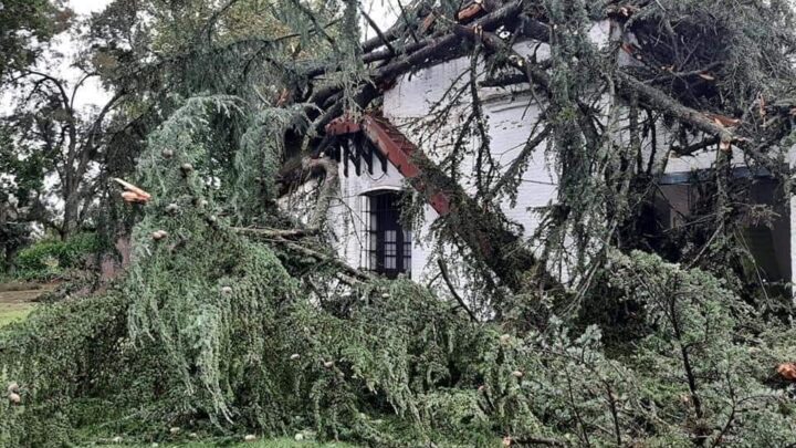 Temporal azotó la región dejando daños materiales
