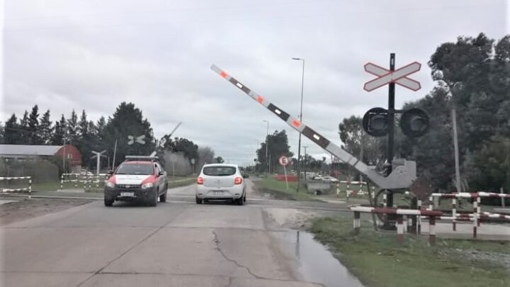 CHASCOMÚS: incorporan lector de patentes vehiculares en accesos