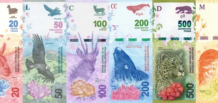 El Gobierno anunciará el reemplazo de los animales de los billetes por próceres y más presencia femenina