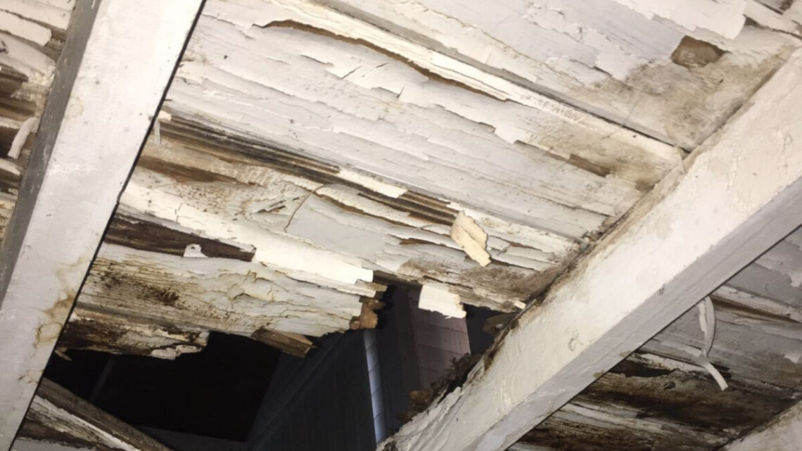 GRAL BELGRANO: “Denuncian abandono total en el Centro Cultural Juan Dobos” GRAL BELGRANO: “Denuncian abandono total en el Centro Cultural Juan Dobos”