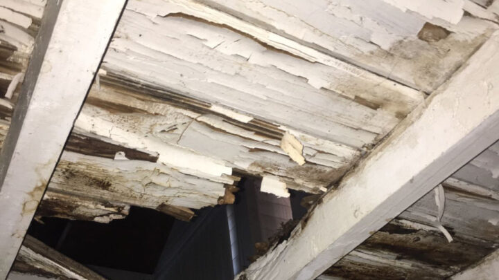 GRAL BELGRANO: “Denuncian abandono total en el Centro Cultural Juan Dobos”