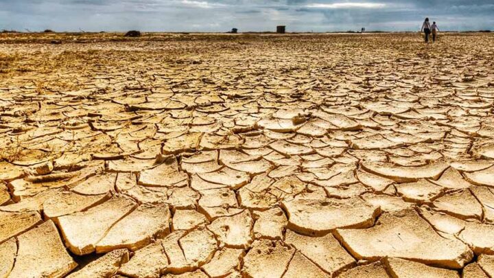 CASTELLI: Por la sequía, el intendente Echarren solicitará que se declaré la emergencia agropecuaria 