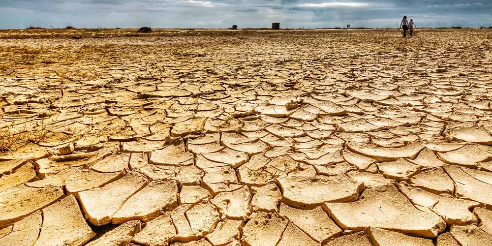 CASTELLI: Por la sequía, el intendente Echarren solicitará que se declaré la emergencia agropecuaria CASTELLI: Por la sequía, el intendente Echarren solicitará que se declaré la emergencia agropecuaria