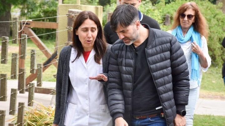 Francisco Echarren: “No paramos de hacer obras e invertir en educación pública”