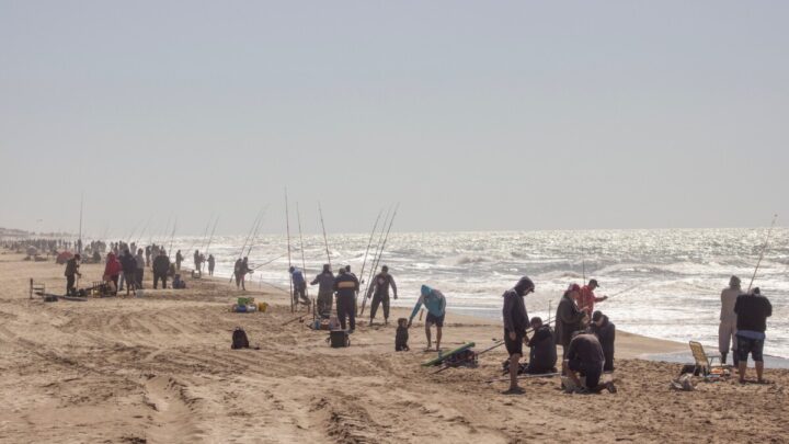 VILLA GESELL: Exitosa 23° edición de la Fiesta Nacional de la Brótola