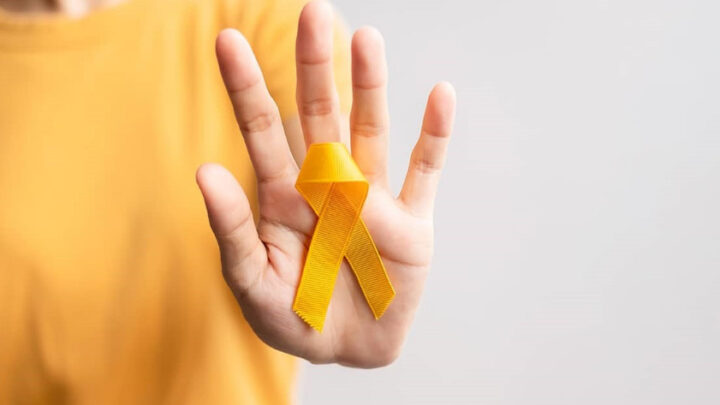 Chascomús: Por iniciativa del Bloque Radical se presentó el proyecto que busca crear el Programa Municipal de Asistencia y Prevención del Suicidio