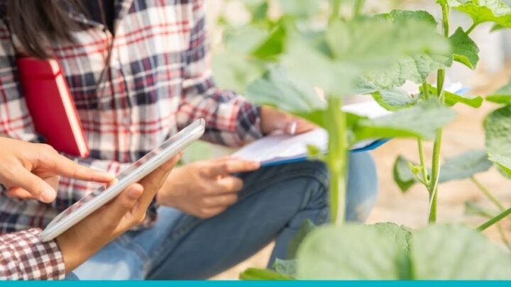 LAS FLORES: Convocan a profesionales para el dictado de la Tecnicatura en Industrias alimentarias