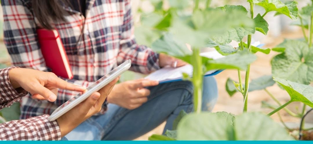 LAS FLORES: Convocan a profesionales para el dictado de la Tecnicatura en Industrias alimentarias LAS FLORES: Convocan a profesionales para el dictado de la Tecnicatura en Industrias alimentarias