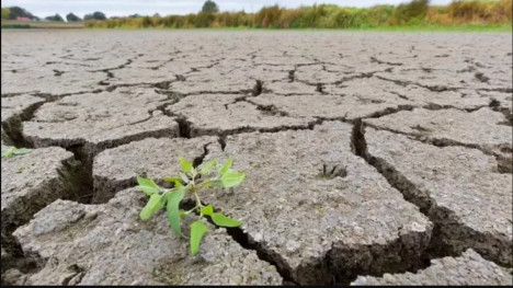 Llegó el fin de ´´La niña´´ ¿vuelven las lluvias o continúa la sequía? Llegó el fin de ´´La niña´´ ¿vuelven las lluvias o continúa la sequía?