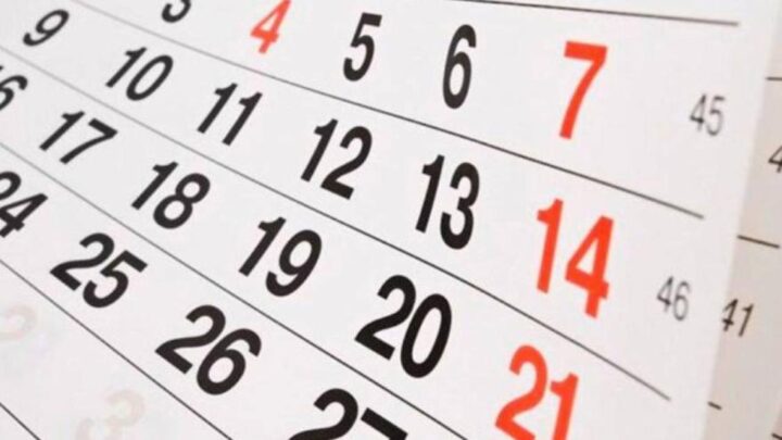 Feriados 2023: en las próximos 18 días habrá 3, ¿Cómo será cada uno?