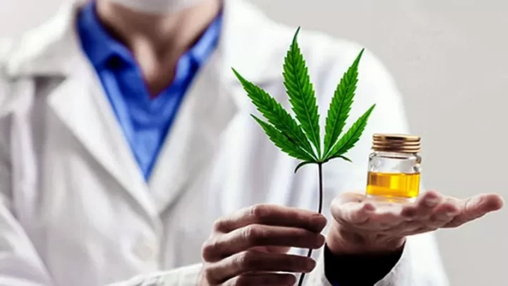 CASTELLI: Se llevara a cabo una capacitación sobre los usos medicinales del cannabis en la nueva legislación