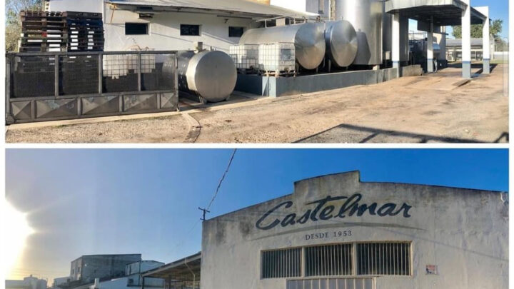 DESDE 1953: la Industria Láctea CASTELMAR cumple 70 años de vida