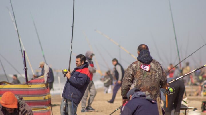 VILLA GESELL: Todo listo para la 24° Fiesta Nacional de la Brótola”. Más de 3 millones de pesos en premios