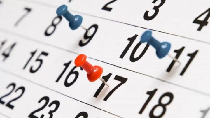 Feriados 2024: así será el calendario de los fines de semana largo para el próximo año