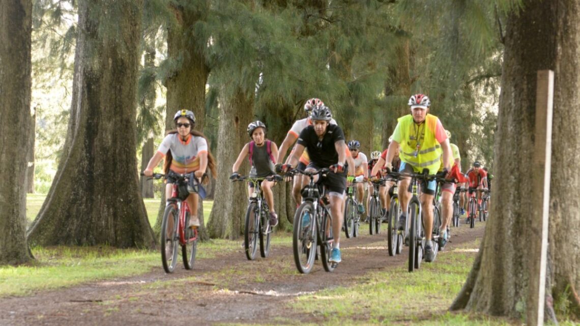 Saladillo vive febrero con carnavales, bicicleteada nocturna y feria de arte