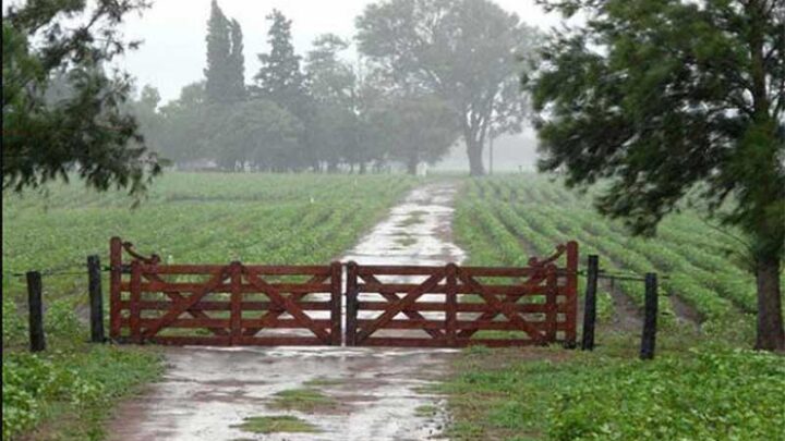 El clima: alerta amarilla por tormentas para este viernes en toda la región