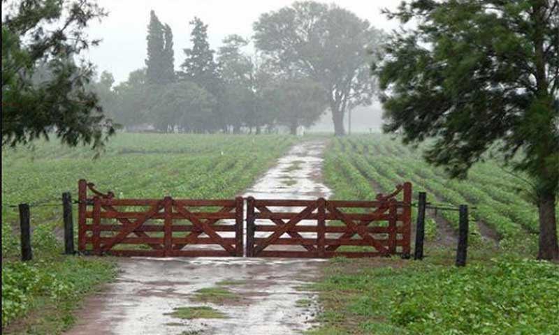 El clima: alerta amarilla por tormentas para este viernes en toda la región