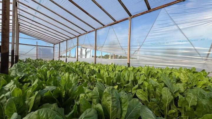 CASTELLI: Proyectan una ciudad sustentable y saludable