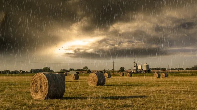 El clima en la región: humedad y lluvias para los próximos días El clima en la región: humedad y lluvias para los próximos días