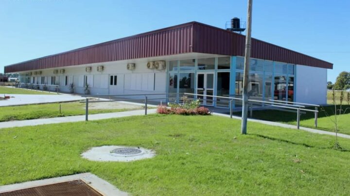 PILA: Confirman cuatro casos de Dengue. Refuerzan recomendaciones para prevenirlo 