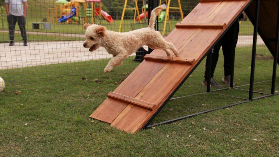BIENESTAR ANIMAL: Dolores inauguró su primera Plaza Canina BIENESTAR ANIMAL: Dolores inauguró su primera Plaza Canina