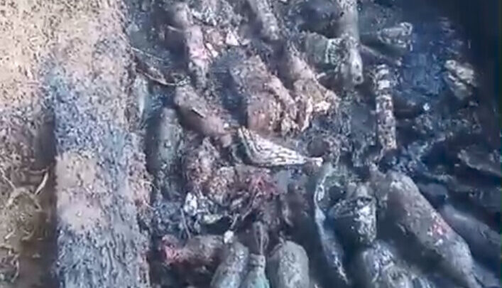 DOLORES: el increíble video que muestra la cantidad de basura estancada en los desagües de la ciudad