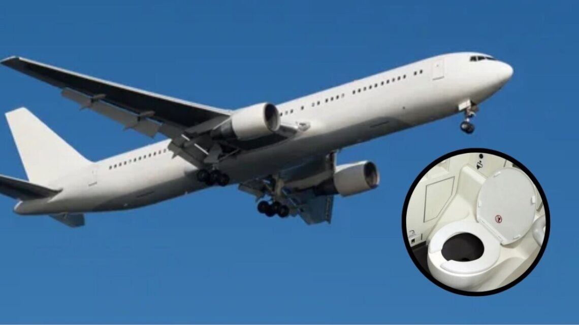 Se desbordó el inodoro de un avión en pleno vuelo y el fuerte olor obligó a aterrizar