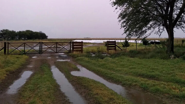 El clima en la región: la semana se presenta con lluvias hasta el miércoles