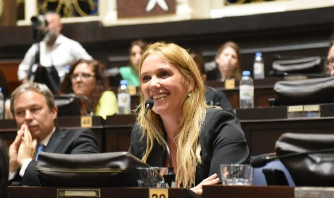 El Senado bonaerense aprobó la Ley de Endometriosis