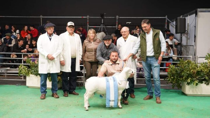 LA RURAL: “La Penca” de Ranchos obtuvo dos grandes campeones en las categorías puro controlado con ADN