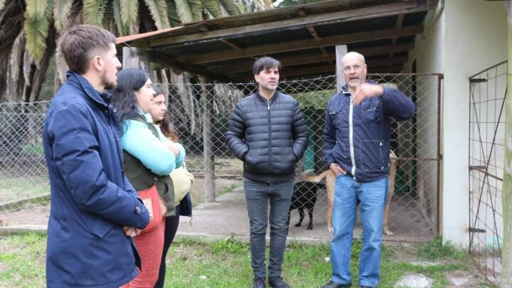 Castelli va a tener su Hospital Veterinario Municipal
