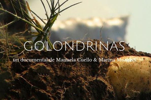 Festival Audiovisual Pila: se proyecta “Golondrinas” un documental de Manuela Cuello y Marina Morgavi