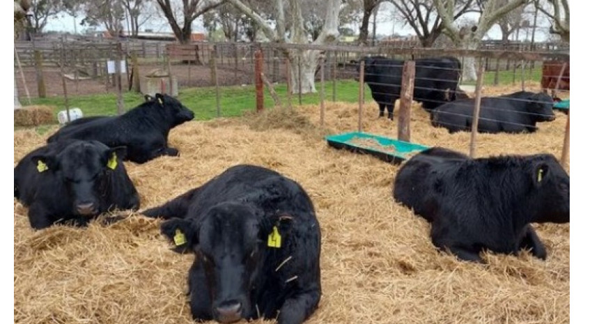 Madariaga: con múltiples actividades, así será la Expo Rural este fin de semana