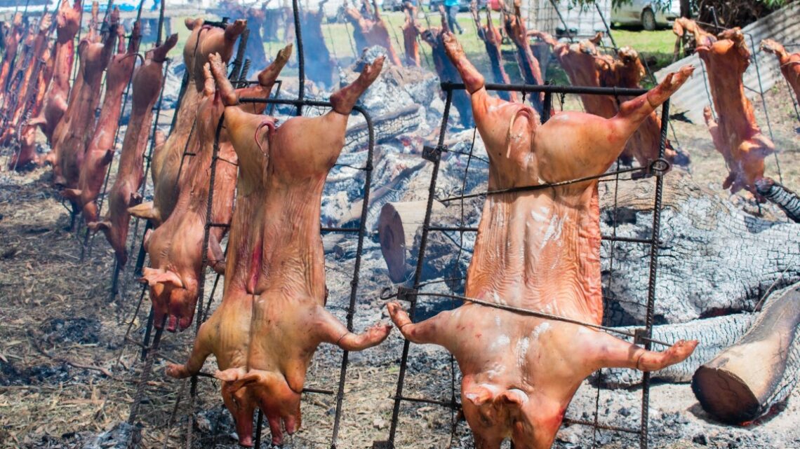 Se viene la Fiesta del Lechón de Campo en Pardo