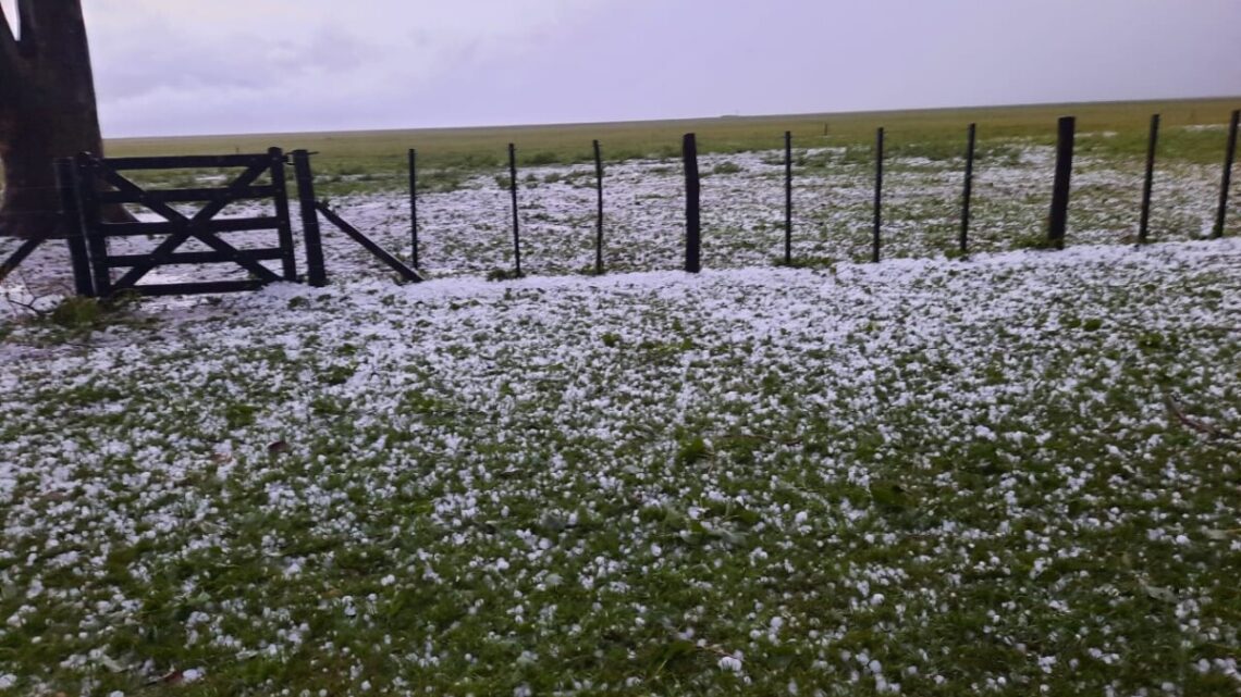 Granizo en Pila: El fenómeno se registró en el paraje Toldos Granizo en Pila: El fenómeno se registró en el paraje Toldos