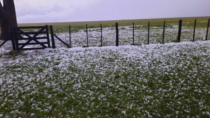 Granizo en Pila: El fenómeno se registró en el paraje Toldos