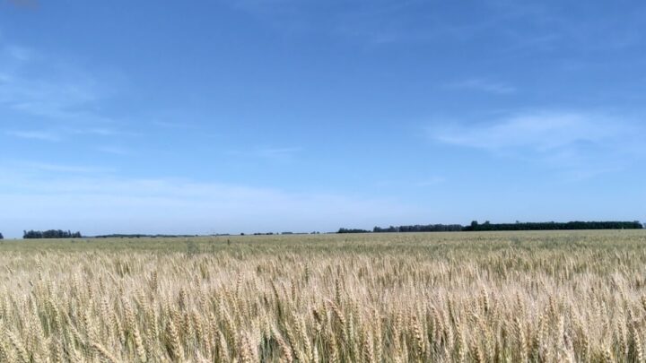 El Clima: Alerta por calor y lluvias para el fin de semana largo