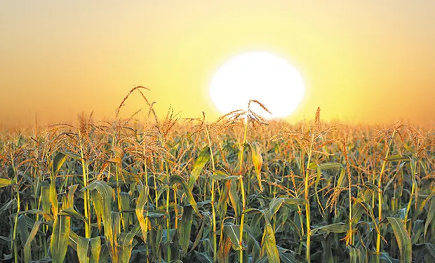 Pronostican calor agobiante y pocas lluvias por 3 meses