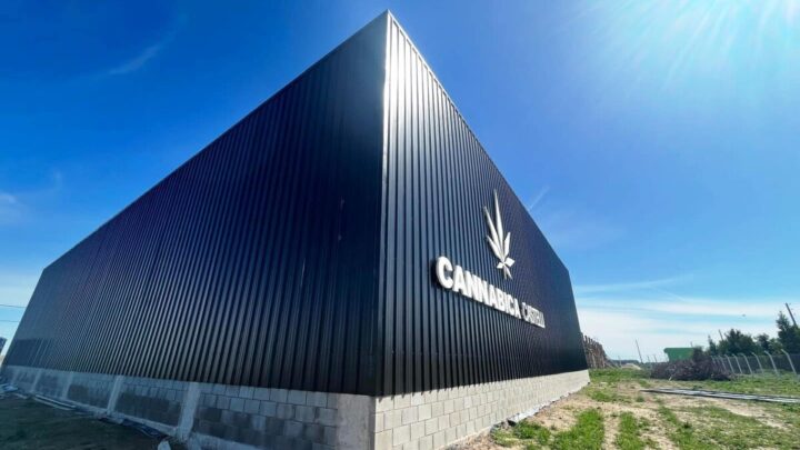 CASTELLI: Buscan trabajadores para la empresa de cannabis medicinal instalada en el Parque Insdustrial