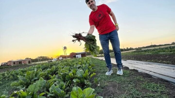Castelli saludable y sustentable: Frutas y verduras libre de agrotóxicos