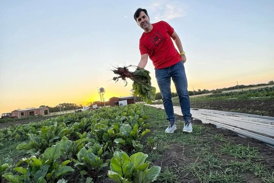 Castelli saludable y sustentable: Frutas y verduras libre de agrotóxicos