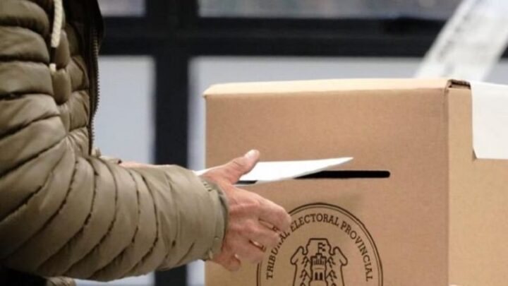 CHAU A LAS PASO: El Senado dio media sanción para la eliminación de las elecciones primarias